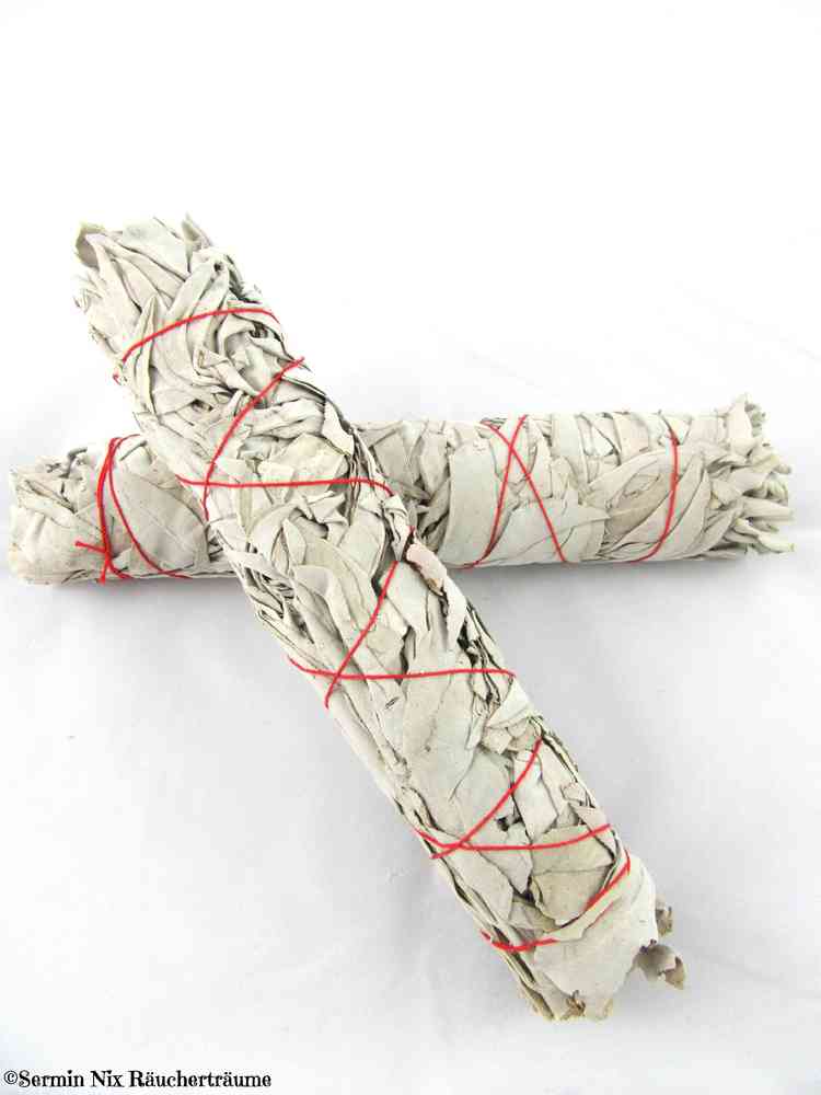 Smudge Weißer Salbei 23cm